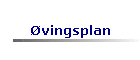 vingsplan