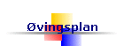 vingsplan